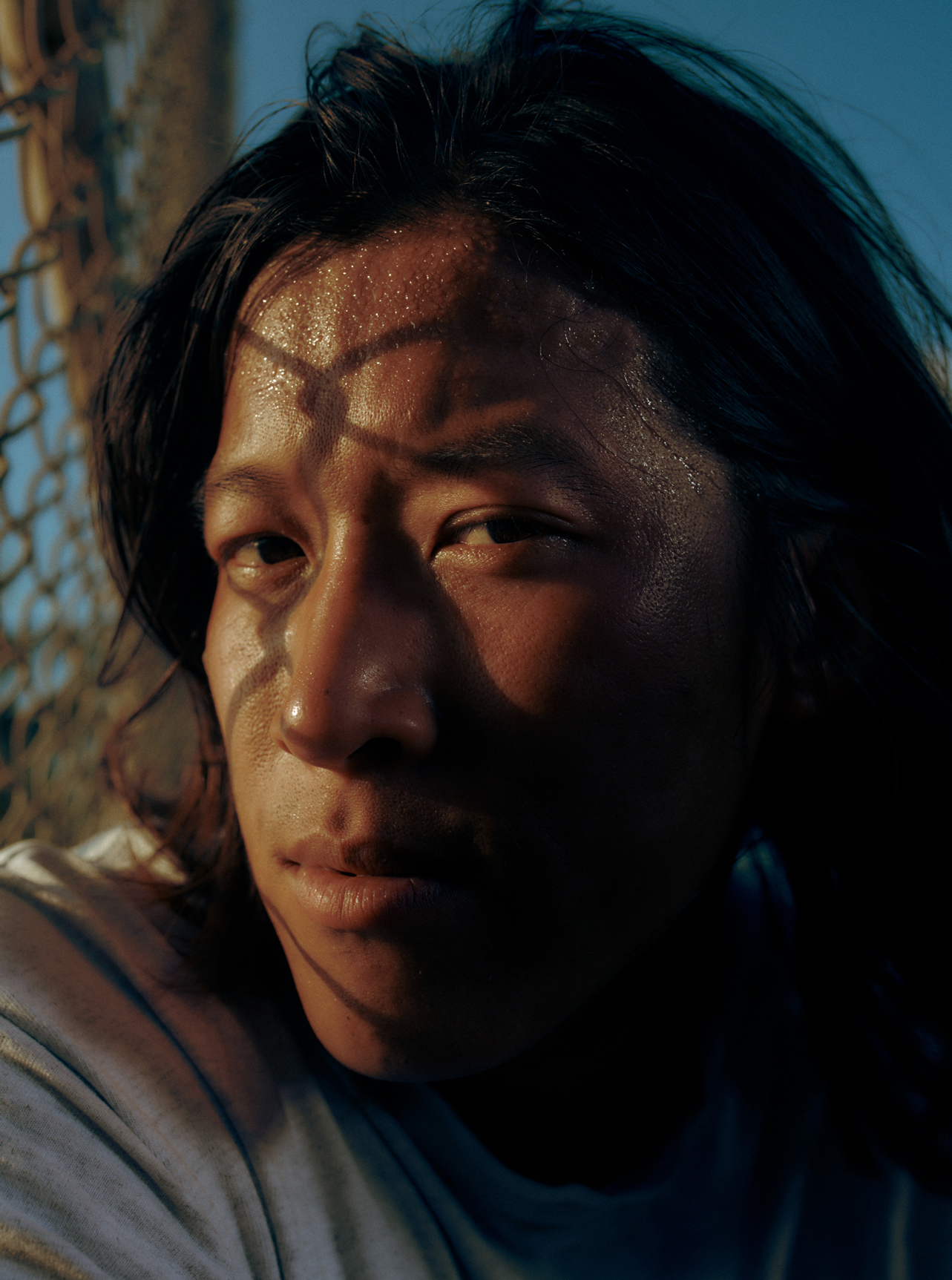 Evergreen — Athletic Greens — 5