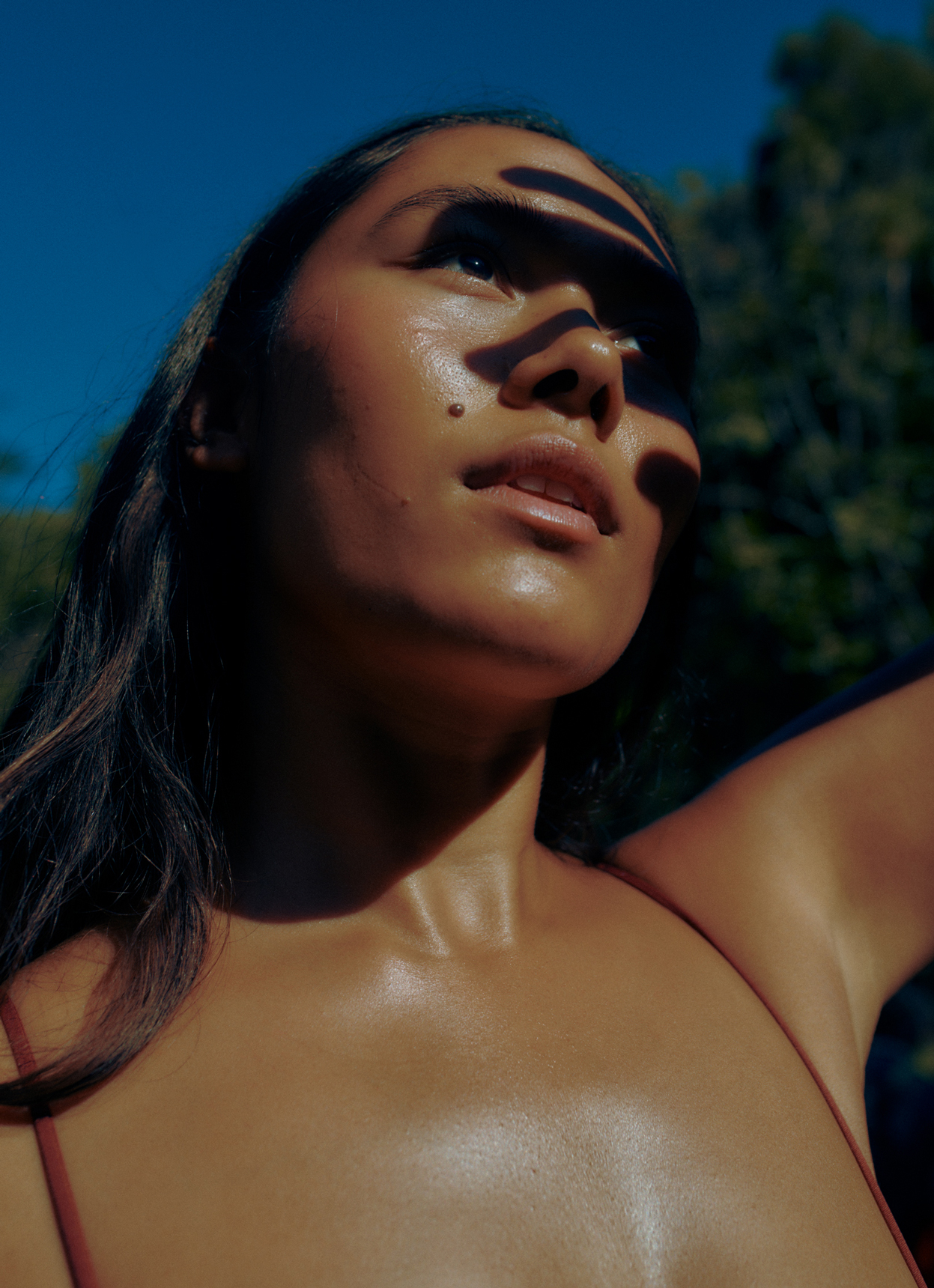 Evergreen — Athletic Greens — 8