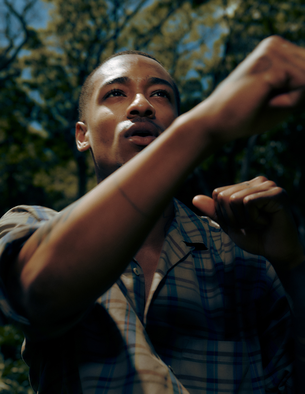 Evergreen — Athletic Greens — 12