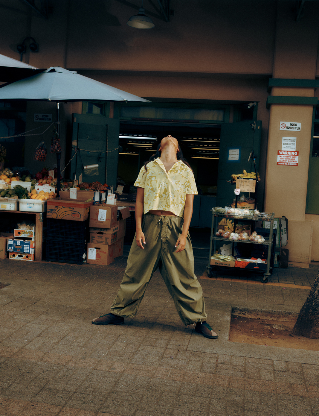 Evergreen — Athletic Greens — 14