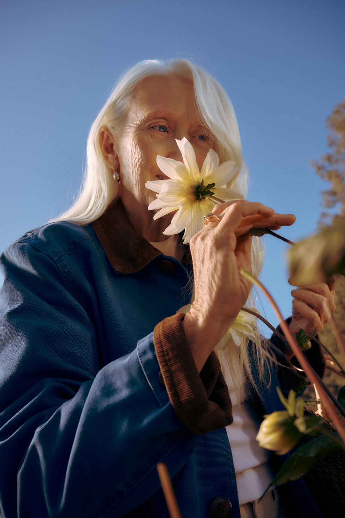 Hims & Hers Labs — 9