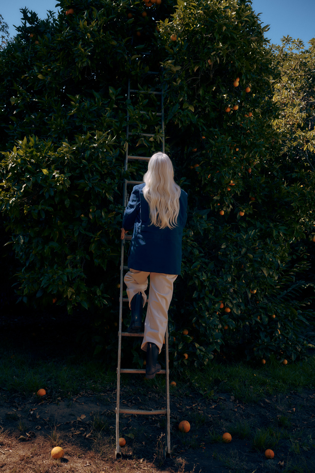 Hims & Hers Labs — 13